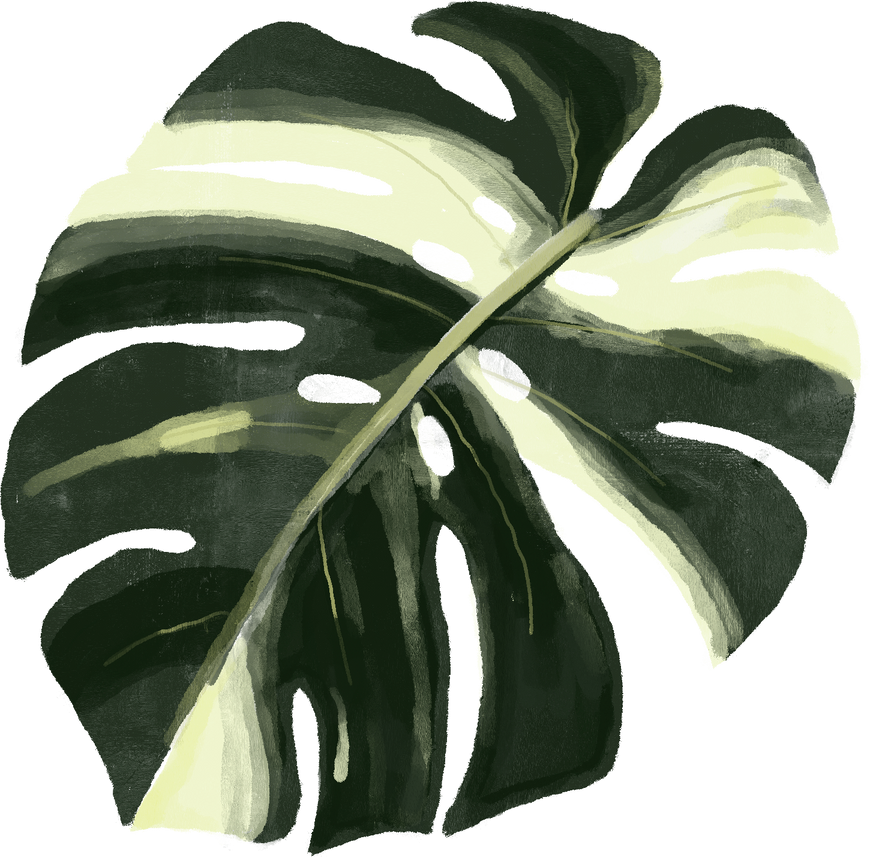 Green and White Watercolor Leaf Monstera